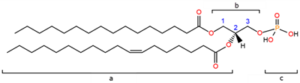 Estructura orgánica del ácido fosfatídico